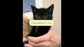 танцуй тренд если ты..     версия :школа #тренды #школа #подпишись