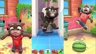 My Talking Tom Vs My Talking Tom 2 Igameplanet