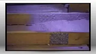 Holmes Inspection Clip # 3 