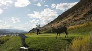 Golf Kamloops - Feature Video