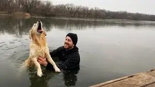 Faith in Humanity Restored: Rescuing Animals