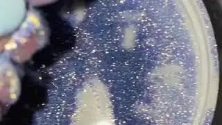 We loooove Night Tide Powder! By WYNN modern art.