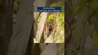 Hada real captada en c&aacute;mara 😰💀#shorts