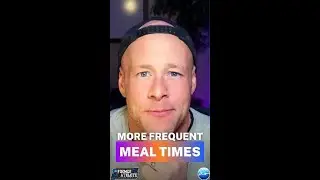 Meal Frequency for Athletes: Why 6&ndash;7 Meals and &ldquo;Protein + One Macro&rdquo; Works Better Than You Think