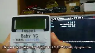 how to decode after adjusting the setting Insect bug game