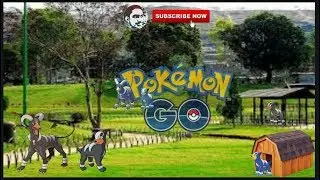 Shiny Poocheyana, Houndour, Wingull, Growlithe hunt (Good Place for Shiny)