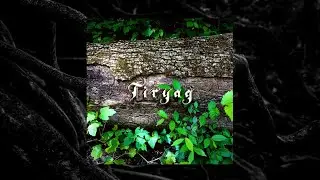 Aleksis Tristan Shaw - Tiryag (2025)
