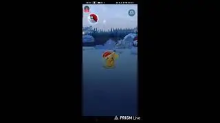 Live streaming of Poke knight