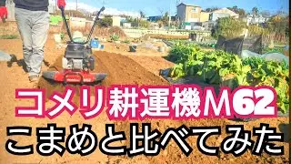 コメリ耕運機カルティバМ62vsホンダこまめ　果たして結果は!?