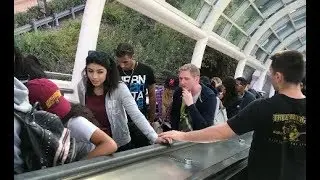 Touching HANDS On ESCALATOR