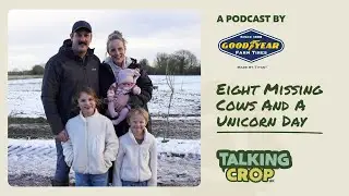 Eight Missing Cows And A Unicorn Day - Talking Crop Podcast