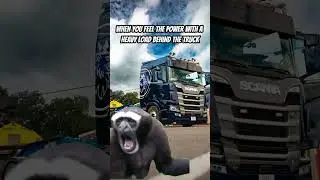 Just gotta feel it, to understand😂 #trucks #trucker #peterbilt #scania #trending #viralvideo