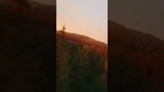 FPV Drone Flying through trees! 🌲☀️ #drones #cinematicfpv #fpv #shorts #trending #fpvdrone #views