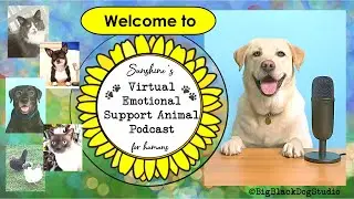 Welcome to Sunshine's Virtual Emotional Support Animal Podcast!
