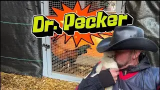 Dr Pecker is GONE- but I do have a replacement! 