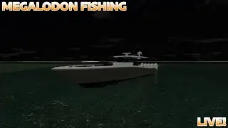 Megalodon Fishing LIVE! | West Coast Florida