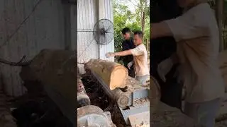Thought It Was Impossible, But the Result Was Mind-Blowing! #veneer #wood #woodmachinery #plywood