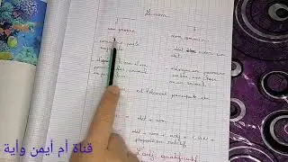 Croque-feuille révision Grammaire CM1/Cm2/CE2 les déterminants/ le nom/ le verbe /l'adjectif