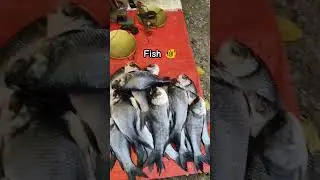 Matigara haat fish market#reels#fish#market#matigara#travel#fishing#fishfry#nature#bazar#view#shorts
