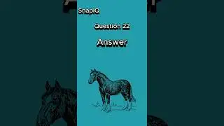This cowboy puzzle breaks brains 🤠🧠 #iqtest #puzzle #shorts