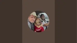 Sam the amazing deaf red heeler is live!