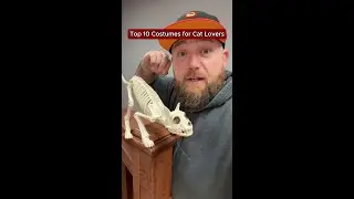 Top 10 For Cat Lovers