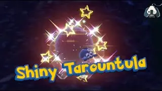 Shiny Tarountula appeared in the wild! 🕷️💫