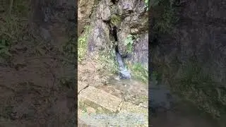 Nature&rsquo;s Hidden Wonder: The Mystical Cave That Answers Human Calls