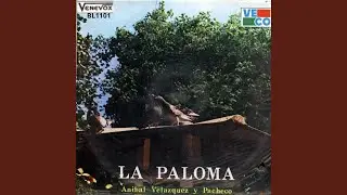 Negra Consentida