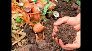 WHAT IS PLANT SUBSTRATE?