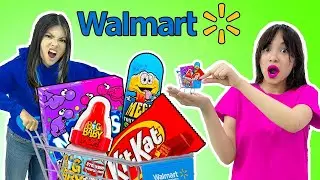 ZOEY & LILY BUILD THEIR OWN WALMART&rsquo;S AT HOME TO MAKE THE WORLD&rsquo;S MOST TINY FOOD BY SWEEDEE