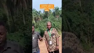 land for sale in Ubakala umuahia Abia state Nigeria price 1.4m per plot
