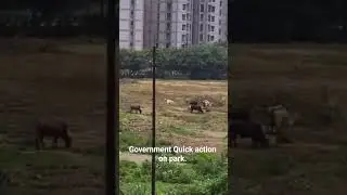 #cleanindia #indianews #clips #news #indianmedia #delhi #india #delhi #uttarpradesh