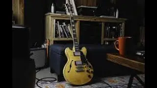LA CHITARRA JAZZ PER ECCELLENZA? D'ANGELICO PREMIER MINI DC