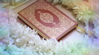 نشيد خاتمة القرآن | خفق الفؤاد