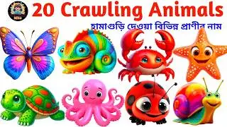 20 Crawling Animals Name in English with Pictures | Learn Crawling Animals | Kids Vocabulary