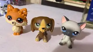 I got the Lps gen 7 Wave three Spa set!|Growing my LPS collection series|