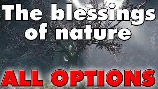 Skyrim Special Edition: The Blessings of Nature, Quick Walkthrough, All Options