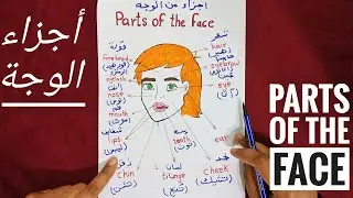 (10) إحفظ أجزاء وجه الإنسان  بالإنجليزية بكل سهولة و تدريبات علي جميع اجزاء الجسم
