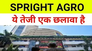 Spright Agro Share Latest News 🔴 Spright Agro| Spright Agro Share Latest News Today|