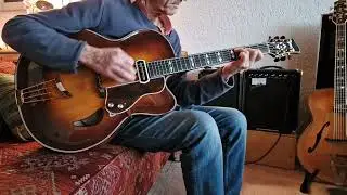 Anton Sandner- L223 -Jazzgitarre 17,5