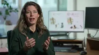 Verjongingskuur voor versleten tussenwervelschijven – Vici-onderzoek Marianna Tryfonidou
