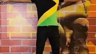 MELO DE MANOS SLY FOX 2019