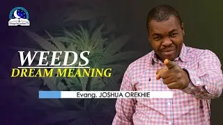Weeds Dream Meaning - Grass Spiritual and Biblical Interpretation