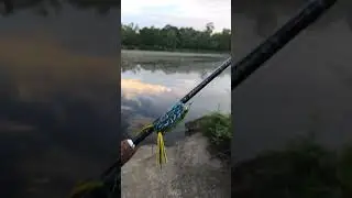 Top Water Bass Fishing