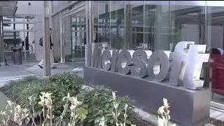 Microsoft pierde dinero en internet
