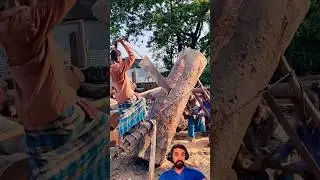 Usage of conventional method and usage of saws to cut wood perfectly #youtubeshorts #viral #trending