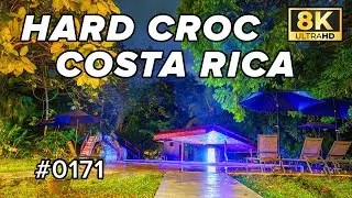 8K Timelapse of the Hard Croc Pool at the Botanika Hilton in Puerto Jimenez, Costa Rica (Sony A7R4)