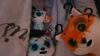 The photo shoot | Beanie boo series