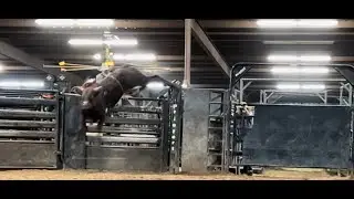 Lot8 12J